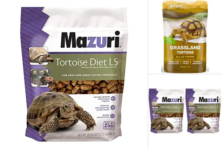 Detailed view of Best Appetite Booster For Desert Tortoise
