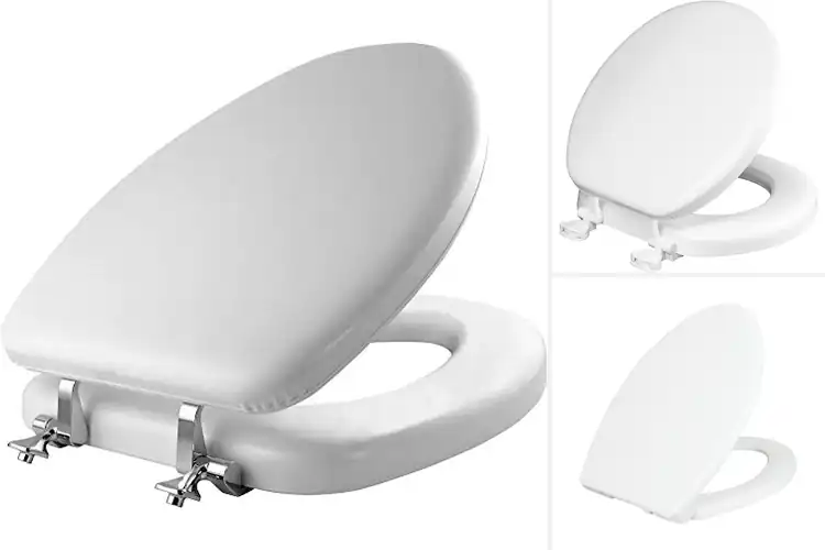 Detailed view of Best Comfortable Toilet Seats