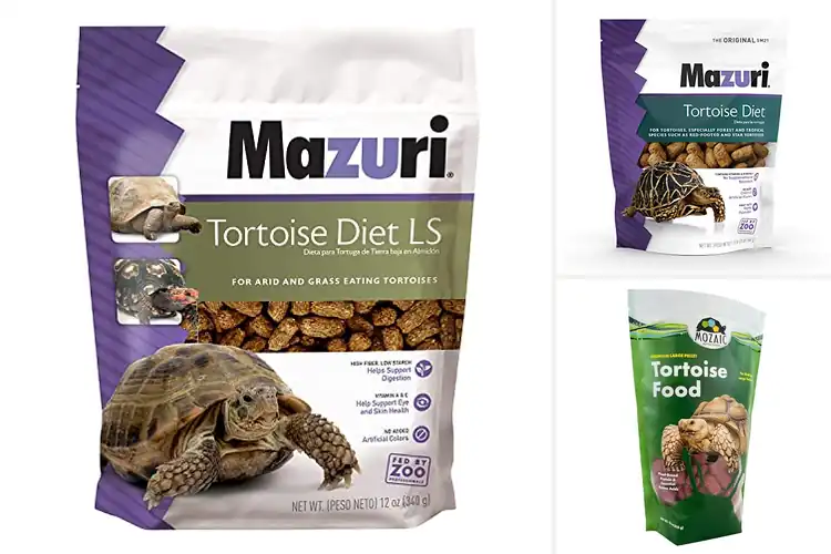 Detailed view of Best Complete Diets For Tortoises