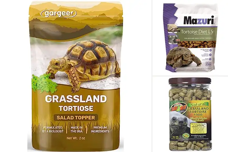 Detailed view of Best Desert Tortoise Food Supplements