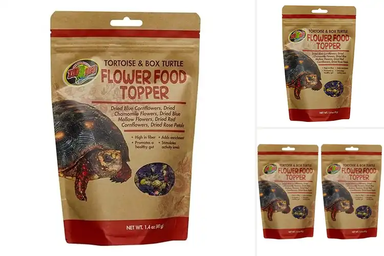 Detailed view of Best Flavorful Tortoise Salad Topper