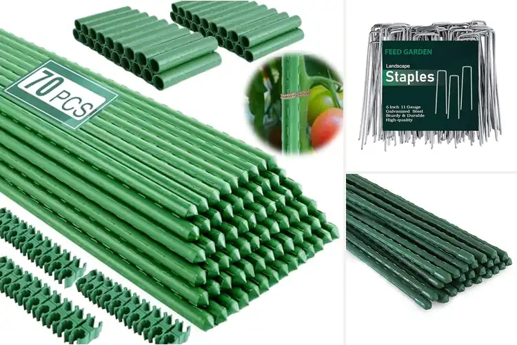 Detailed view of Best Garden Stakes for Strong, Reliable Plant Support