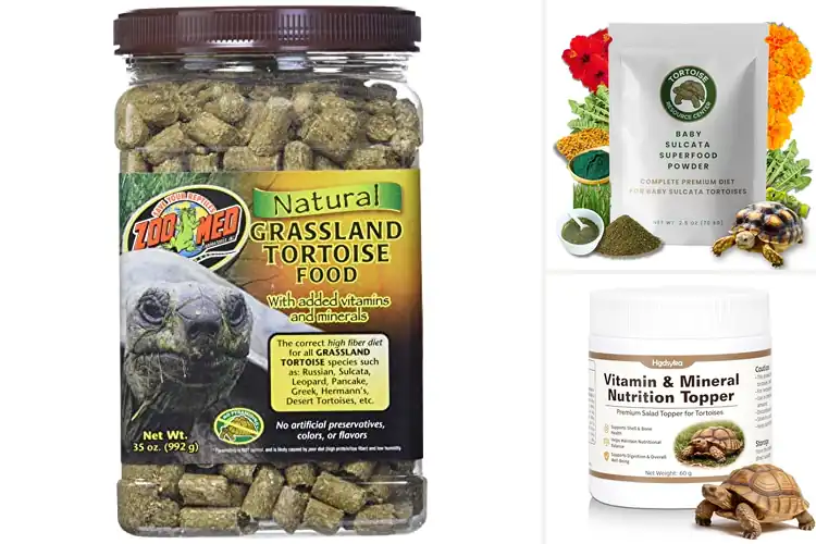 Detailed view of Best Growth Support For Grassland Tortoises
