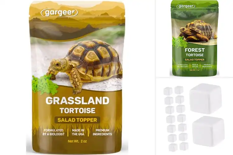 Detailed view of Best Health Boosters For Tortoises