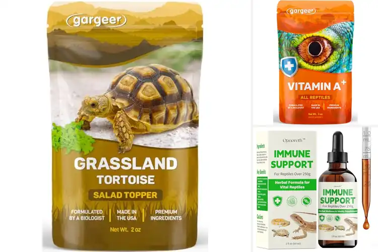 Detailed view of Best Immune Support For Desert Tortoises