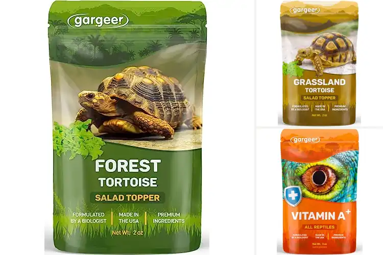 Detailed view of Best Immune Support Tortoise Mix