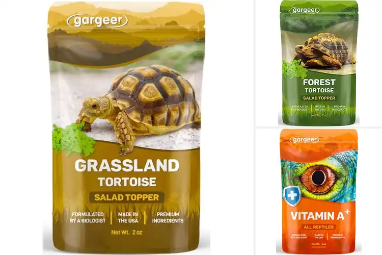 Detailed view of Best Immune System Supplements For Tortoises