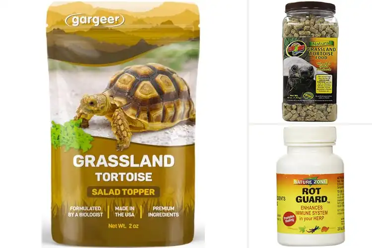 Detailed view of Best Immune System Support For Grassland Tortoise