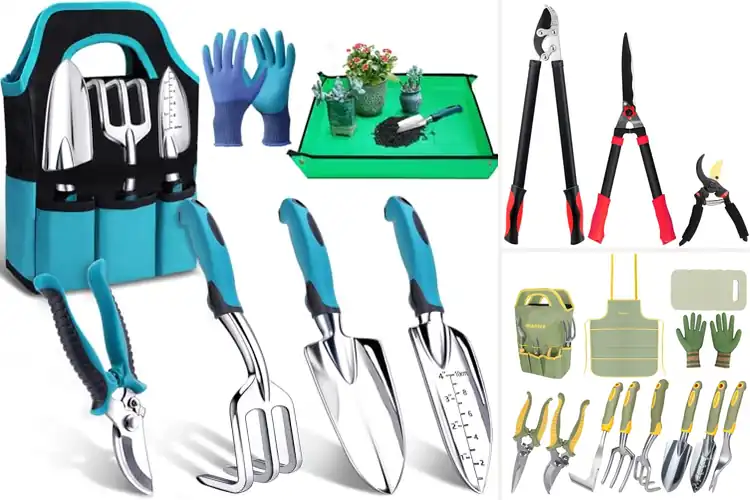 Detailed view of Best Landscaping Kits: 10 Top Picks for a Beautiful Garden