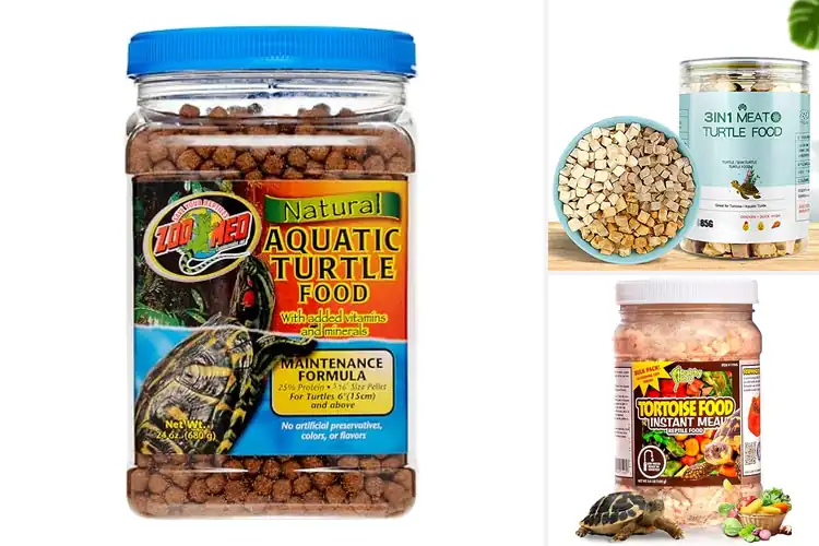 Detailed view of Best Made In USA Turtle Food: Top 10 Nutritious Picks