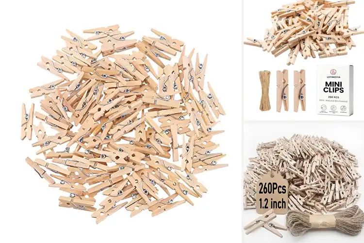 Detailed view of Best Mini Clothespins