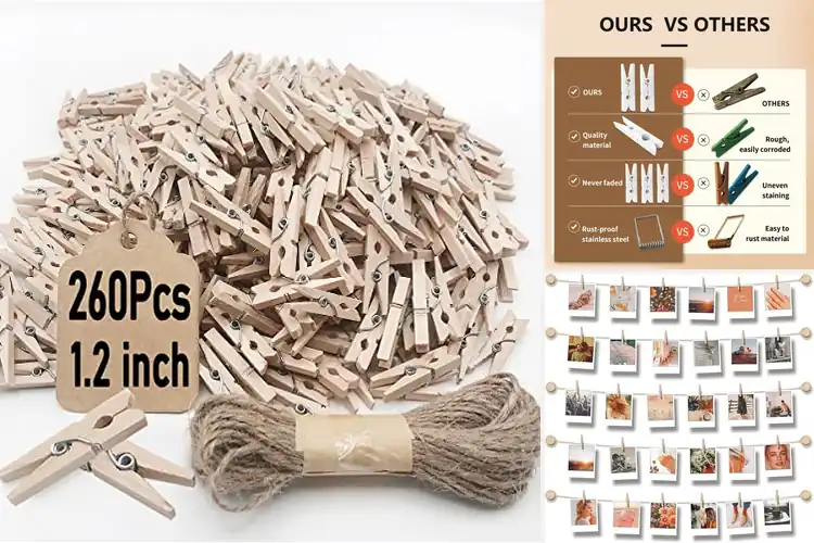 Detailed view of Best Photo Display Clips
