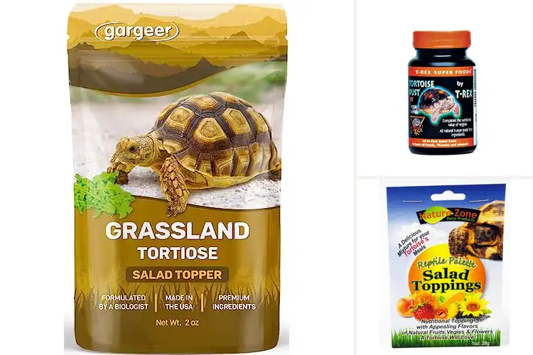 Detailed view of Best Salad Toppers For Tortoises