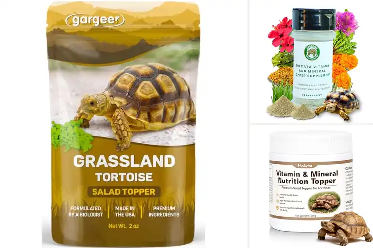 Detailed view of Best Tortoise Diet Supplements: Healthy Shells & Happy Lives