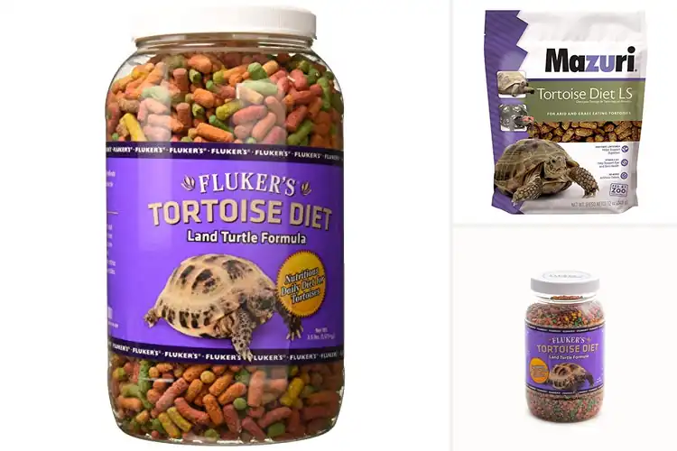 Detailed view of Best Tortoise Foods: Top 10 Picks for a Healthy, Happy Pet