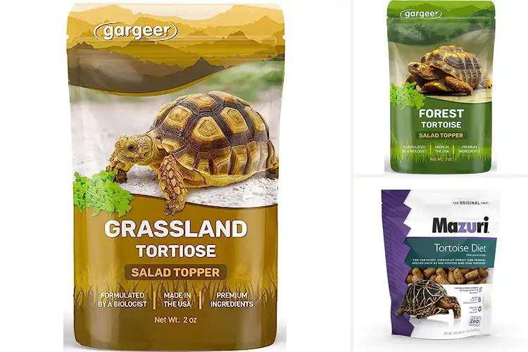 Detailed view of Best Tortoise Immune Boosters: Top 5 Picks for a Healthy Pet