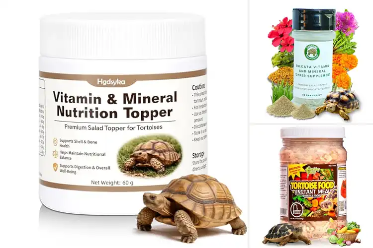 Detailed view of Best Tortoise Nutrition