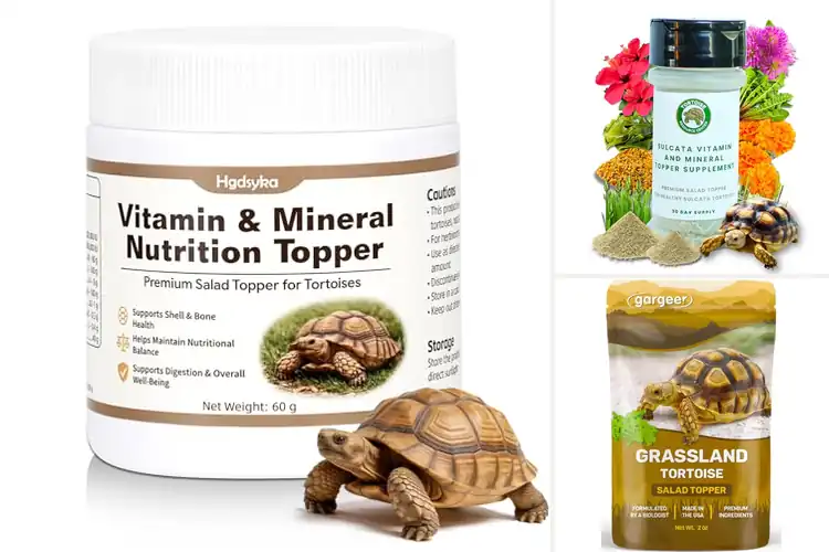 Detailed view of best tortoise nutritional supplements