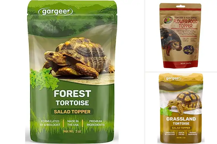 Detailed view of Best Tortoise Salad Toppers: 10 Healthy & Fun Options