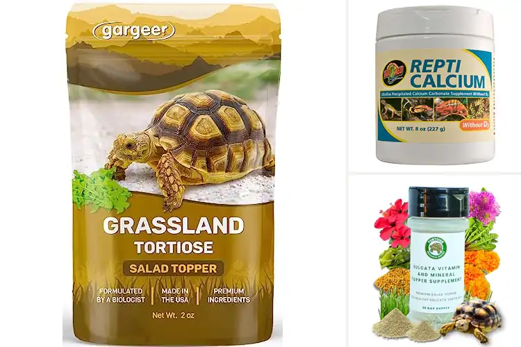 Detailed view of Best Tortoise Supplements