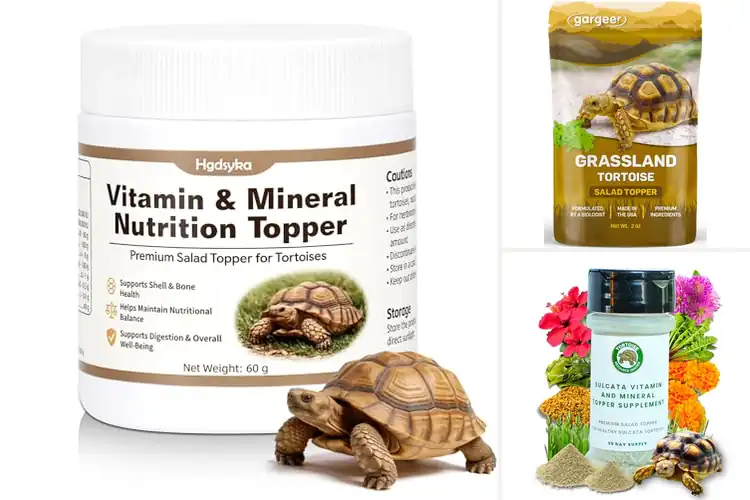 Detailed view of Best Tortoise Vitamin Mixes: Top 10 Picks for a Healthy Pet