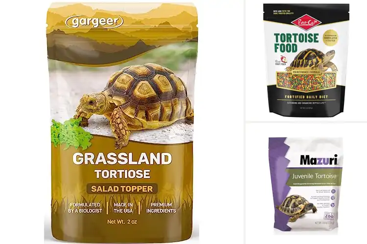 Detailed view of Best USA-Made Tortoise Food Supplements
