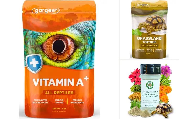 Detailed view of Best Vitamin Rich Tortoise Supplement