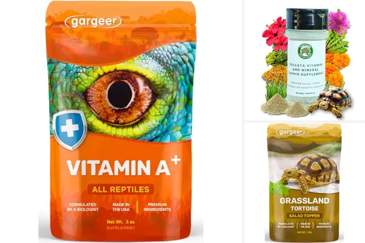 Detailed view of Best Vitamin Supplements For Tortoises
